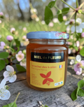 Miel de Fleurs des Vosges – Pot de 250 g